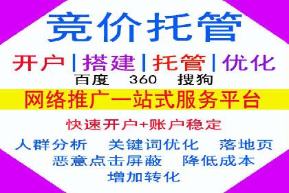 案例解读：SEM托管助力电商销售增长